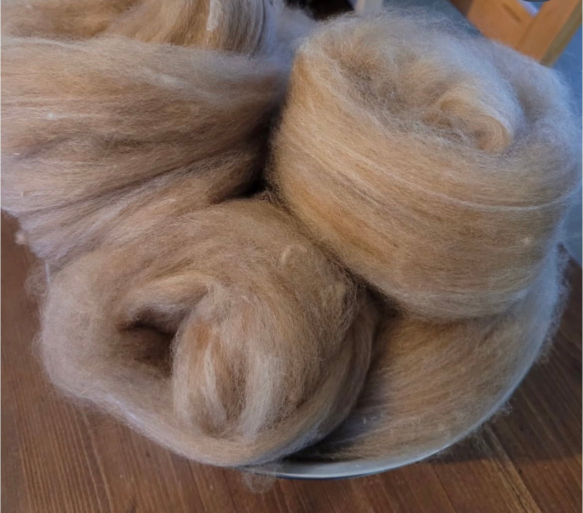Farm to Fiber: A full-day Wool Workshop Experince