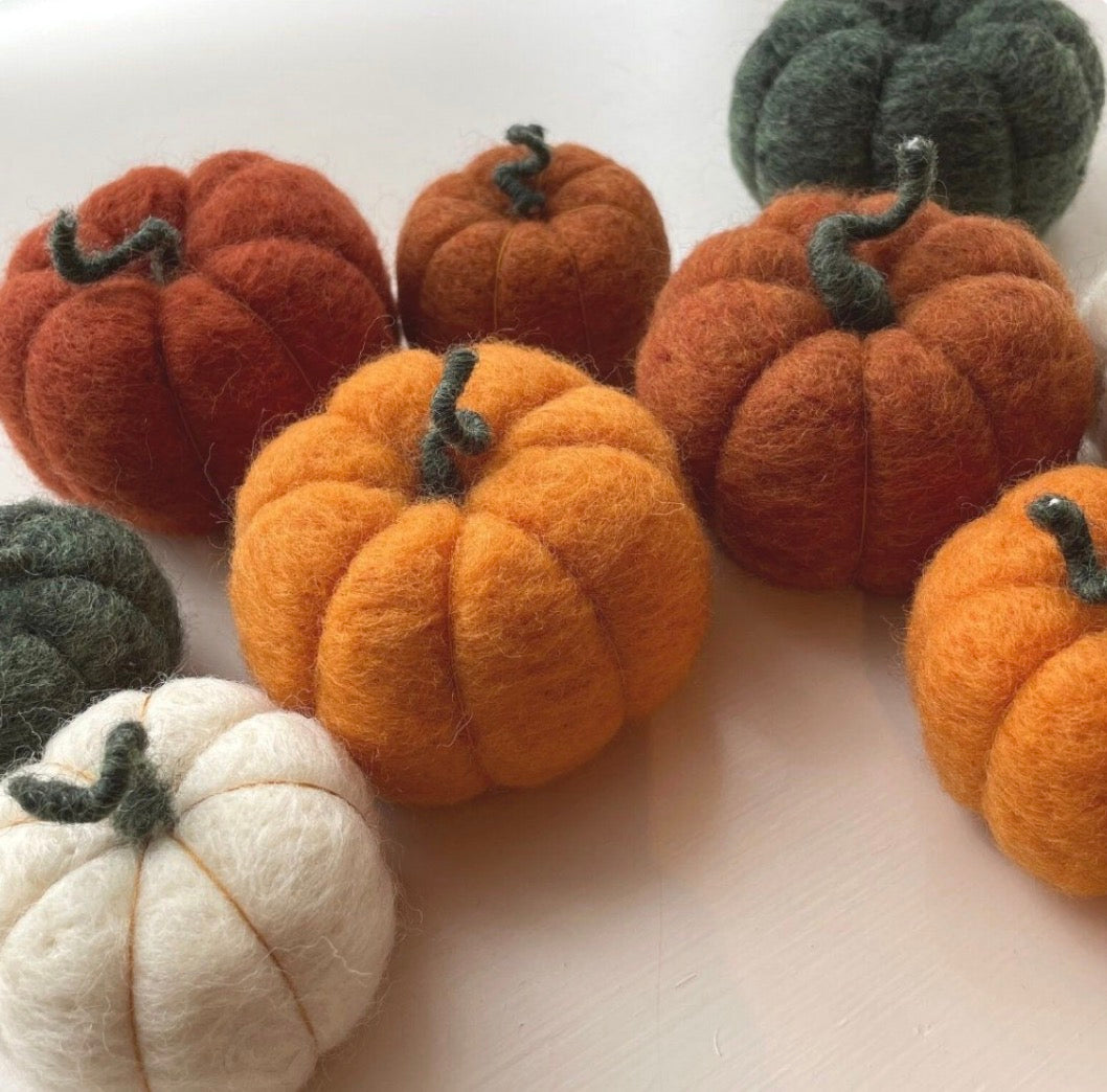Needle-Felting Pumpkin Workshop