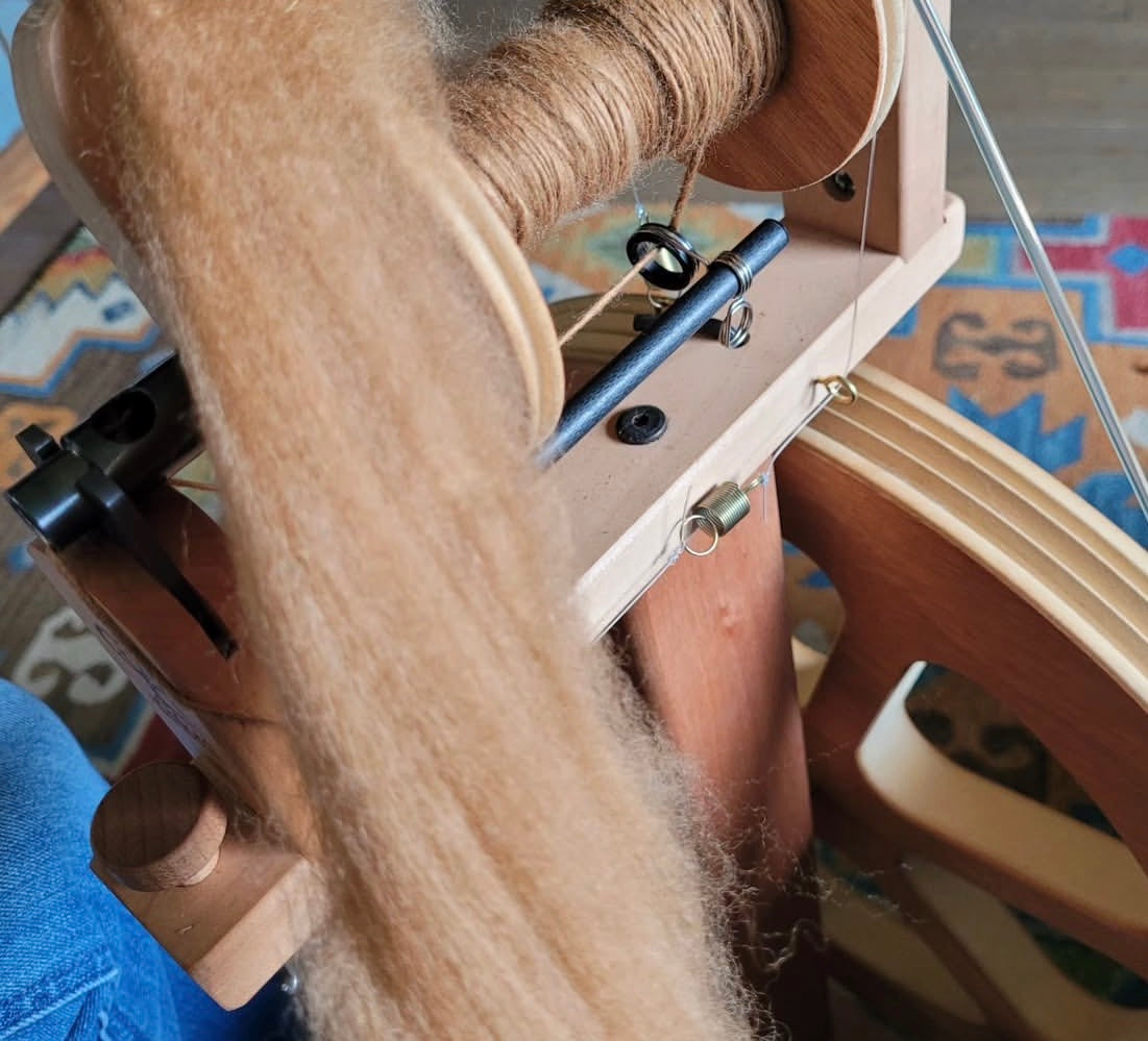 Farm to Fiber: A full-day Wool Workshop Experince
