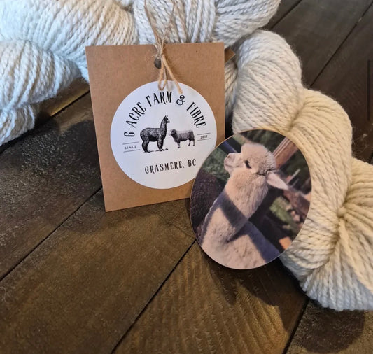 Farm to Fiber: A full-day Wool Workshop Experince